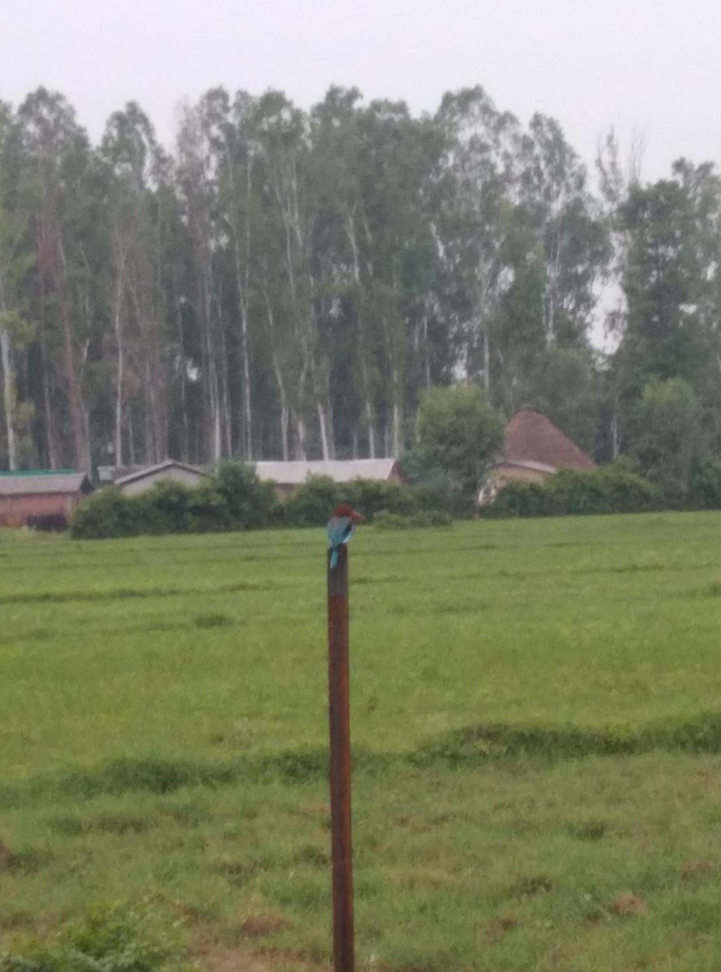 Corbett Bhavesh Home Stay Jhirna Quarto foto
